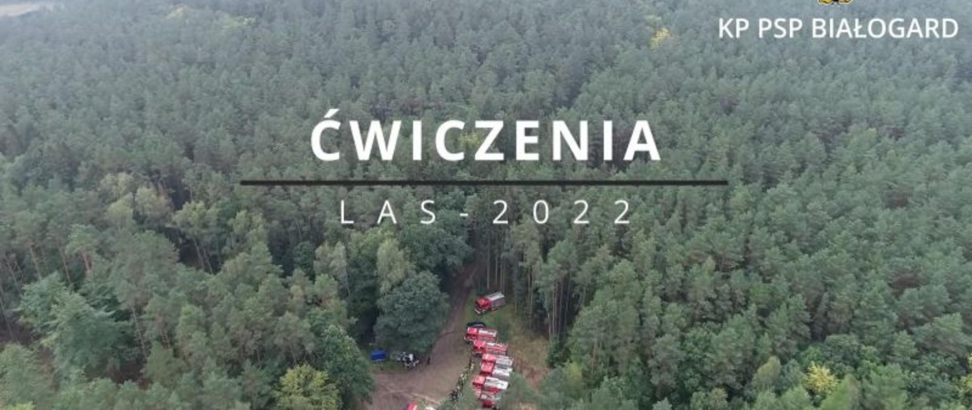 Zdjęcie przedstawia pierwszą klatkę z filmu wideo. Na środku widać tytuł LAS-2022. W prawym górnym rogu jest logo PSP. Na zdjęciu widać duży las i szare lekko przychmurzone niebo. Zdjęcie wykonane z lotu ptaka, z drona.
