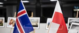 Wiceminister Arkadiusz Mularczyk uczestniczył w otwarciu Ambasady Islandii 