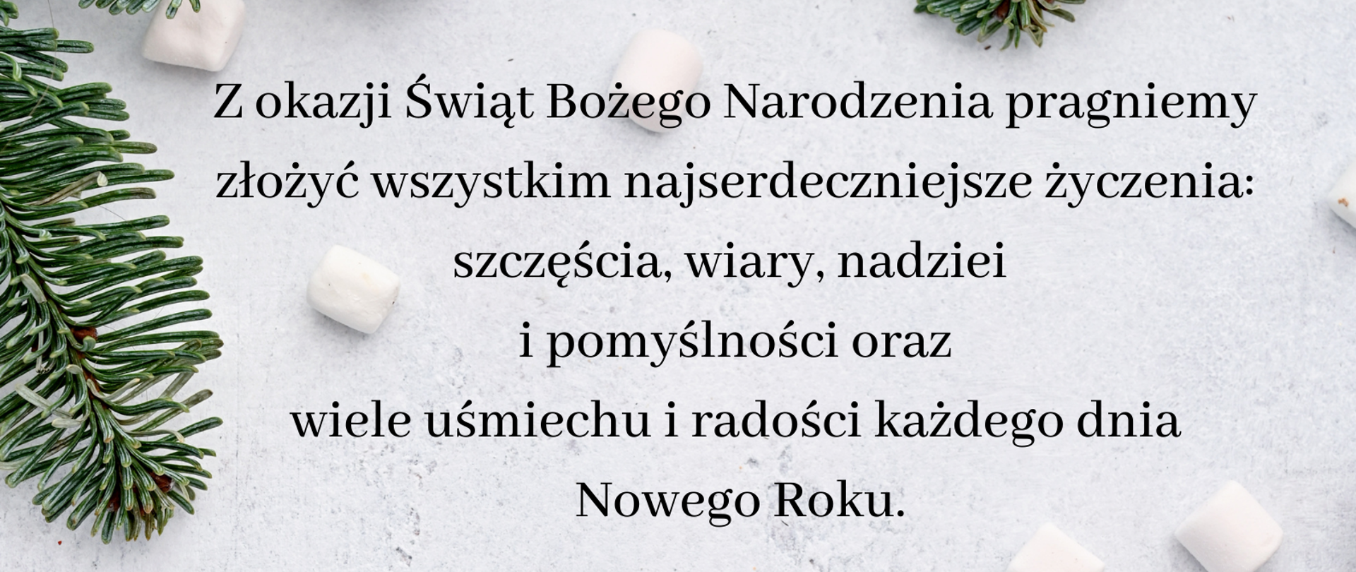 Plakat na szarym tle z grafiką szyszek i gałązek choinki oraz tekstem z życzeniami świątecznymi