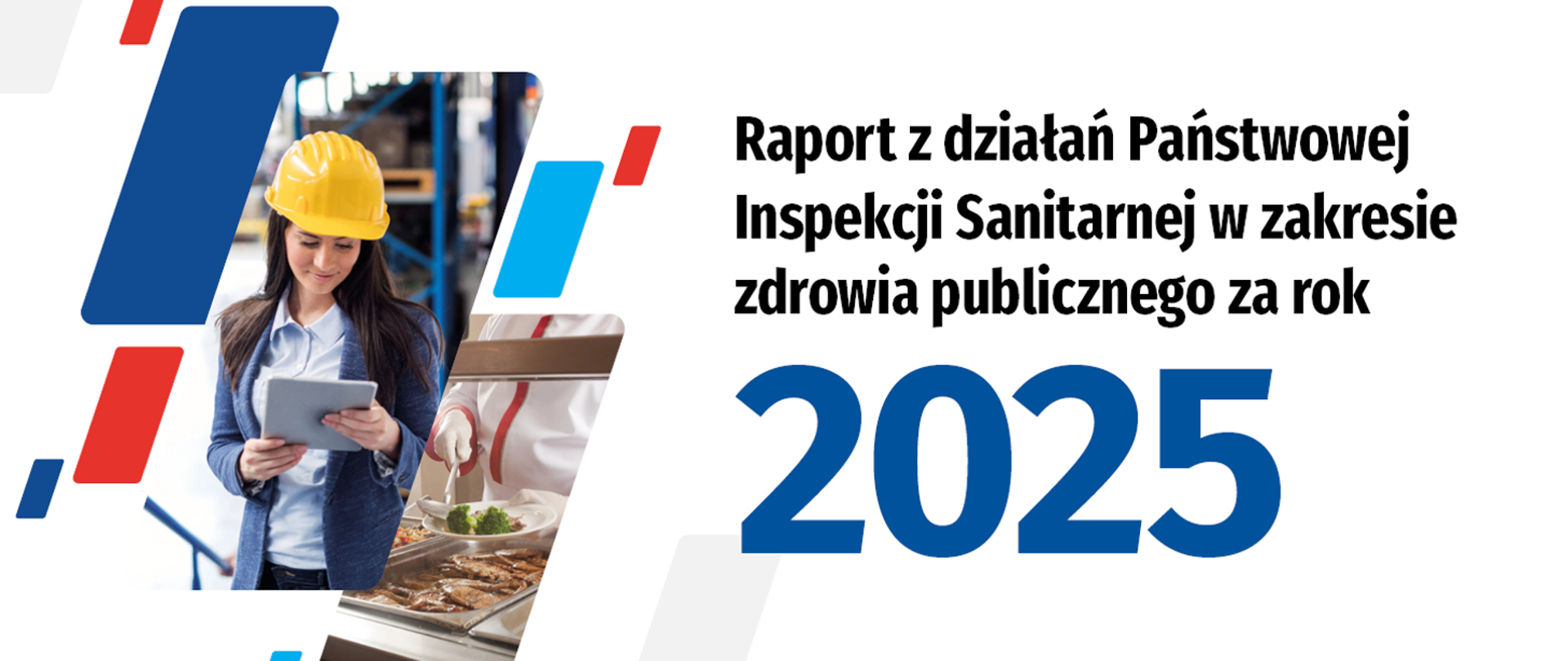 raport z działań pis