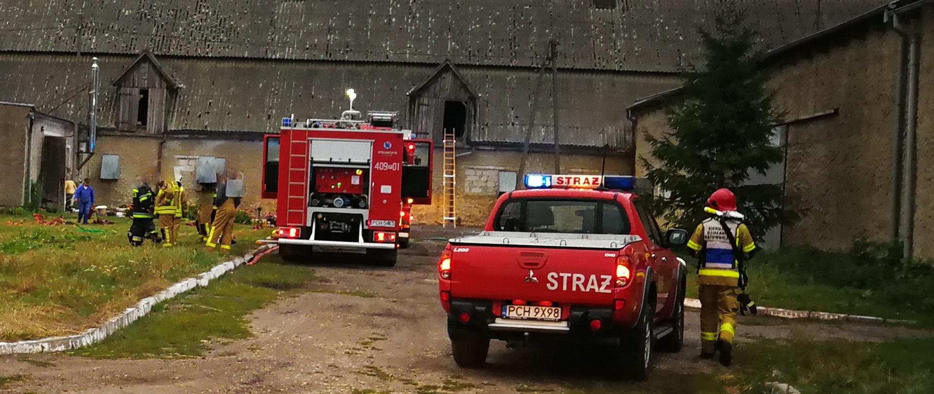 Zdjęcie przedstawia strażaków, którzy gaszą pożar w kurniku w miejscowości Próchnowo.
W tle pojazdy gaśnicze i budynek Komendy.
