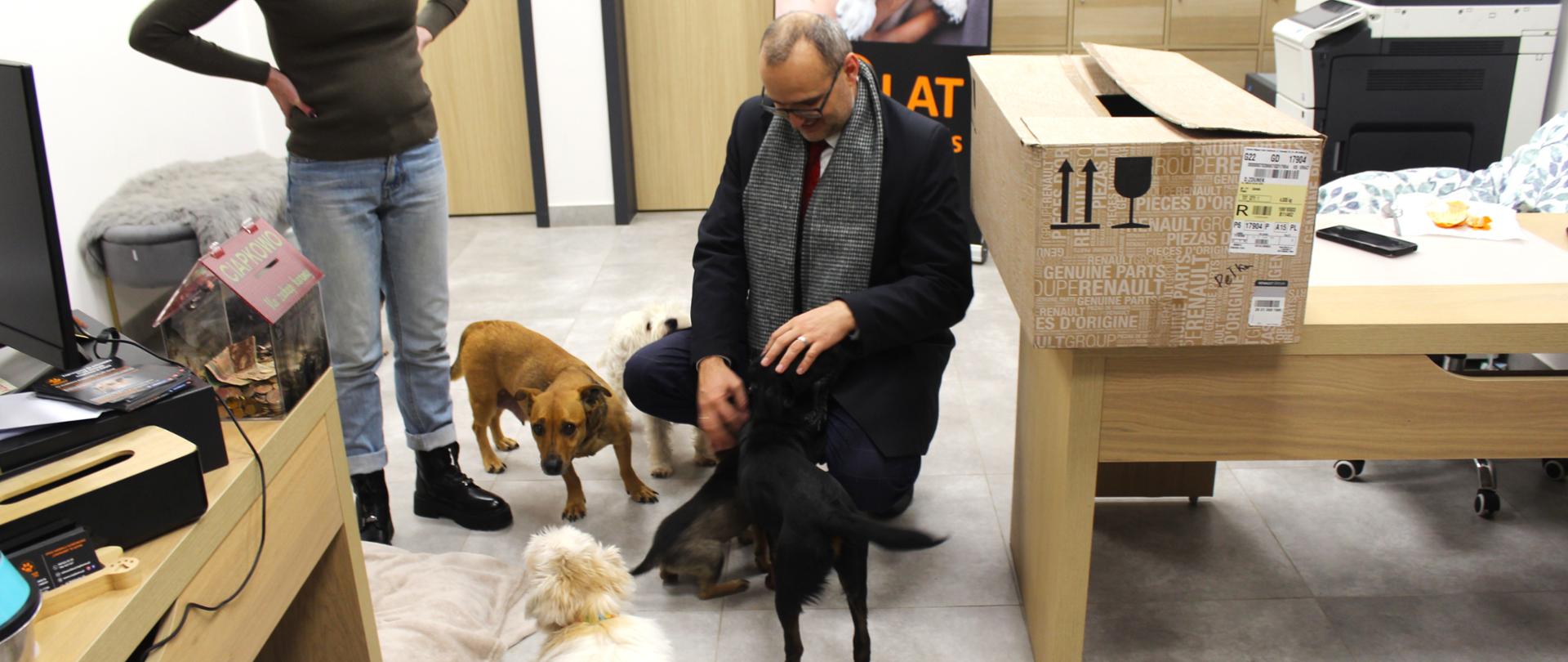 mężczyzna głaszcze psa 