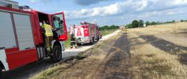 Na zdjęciu widoczne pasy wypalonego rżysko, wzdłuż drogi. Na drodze stoją dwa wozy pożarnicze po akcji. Z jednego wychodzi strażak w umundurowaniu bojowym. W dali zabudowania.