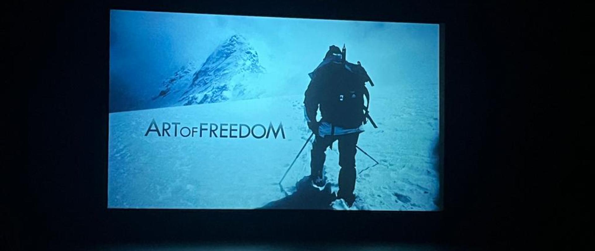 Screening of Art of Freedom documentary during Francophonie Festival in Singapore
