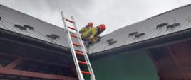 Drabina przystawiona do budynku tartaku. Na ziemi strażak, który trzyma linie wężową. Na dachu strażak prowadzi działania.