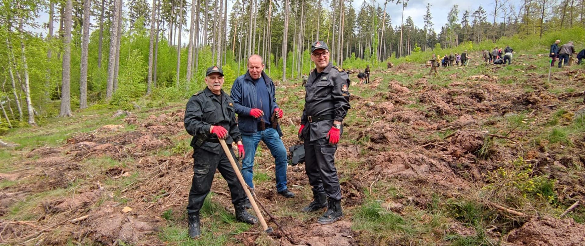 Przedstawiciele różnych instytucji podczas sadzenia lasu