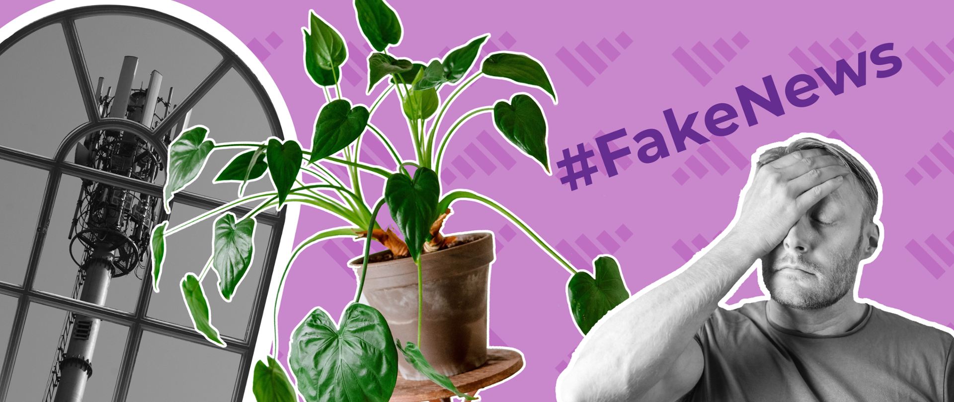 Grafika przedstawiająca roślinę doniczkową, okno, za którym widoczny jest maszt telekomunikacyjny z antenami oraz mężczyznę trzymającego się ręką za głowę. 