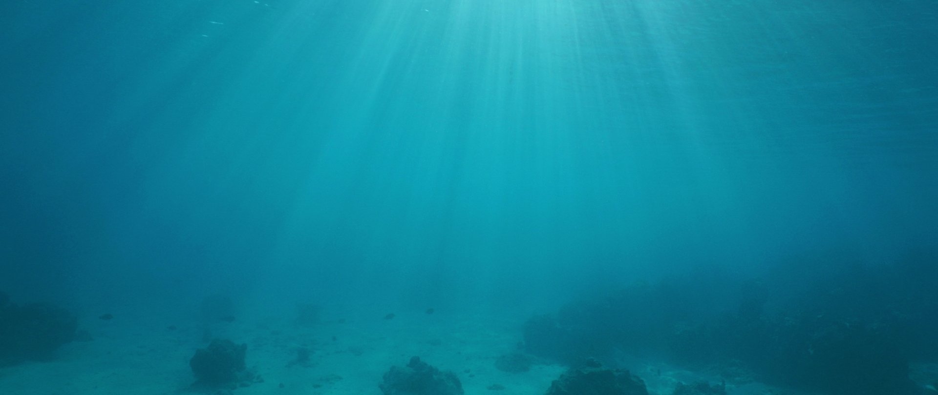 dno oceanu z drobnymi skałami piaszczystym dnem, przez wodę przechodzą promienie słoneczne