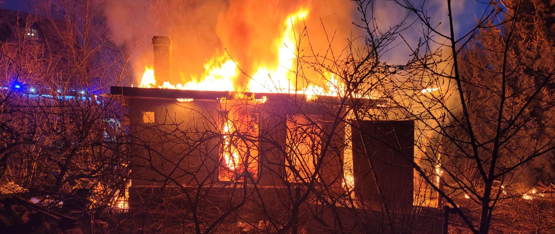 Rozwinięty nocny pożar altany ogrodowej. Pali się całe wnętrze i dach. Na pierwszym planie drzewa owocowe bez liści a w tle niebieskie światła alarmowe samochodów strażackich.