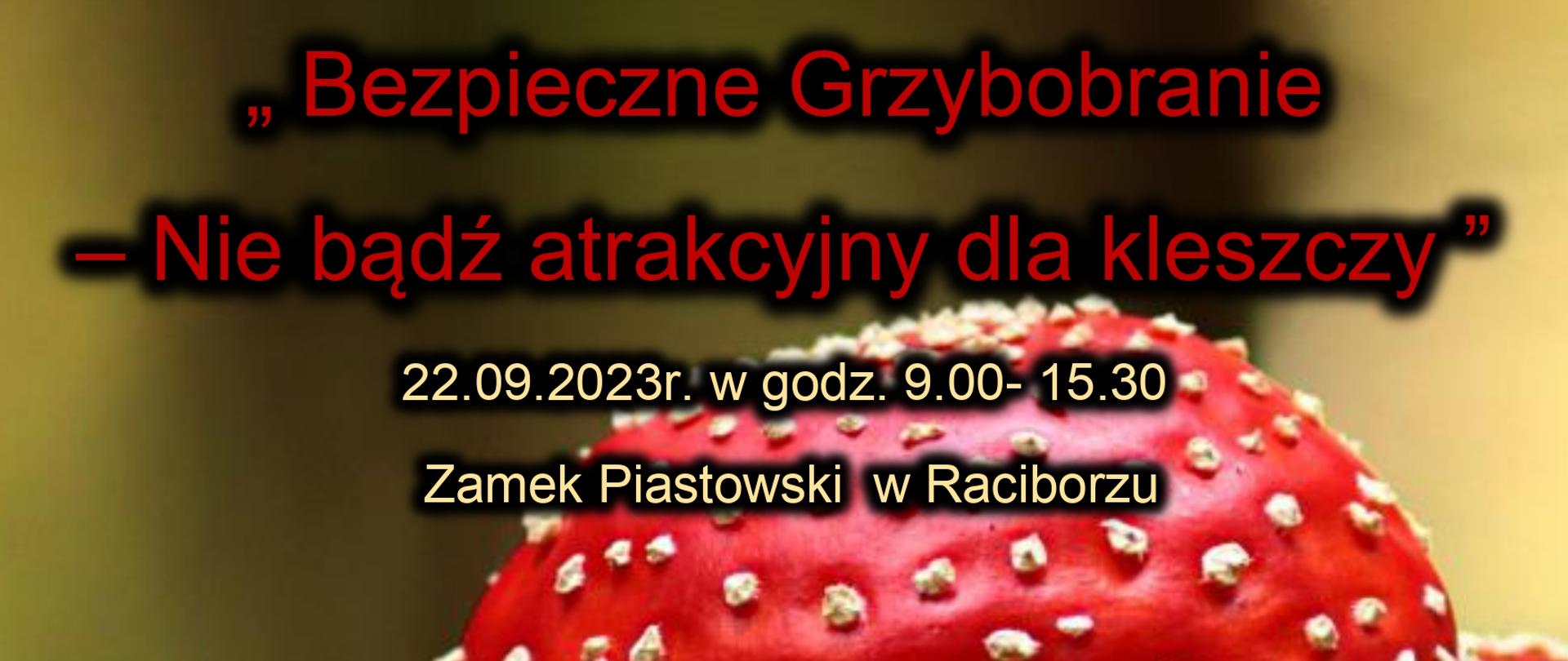 logo_grzybobranie