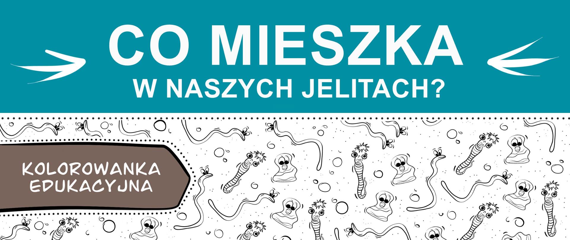 fragment strony tytułowej kolorowanki edukacyjnej. Tytuł to biały napis na turkusowym tle "Co mieszka w naszych jelitach?". Pod tytułem na białym tle czarne rysunkowe robaczki ilustrujące pasożyty. PO lewej szara duża strzałka i na niej napis: kolorowanka edukacyjna.