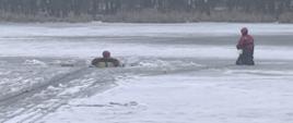 Strażacy doskonalili umiejętności ratownictwa lodowego na zbiorniku Gzel