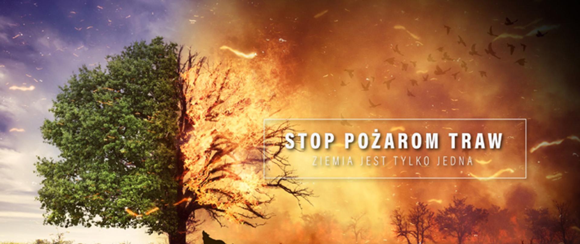 Plakat przedstawiający skutki pożarów traw z logotypami Lasów Państwowych, Państwowej Straży Pożarnej.