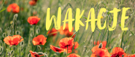 Grafika z napisem „WAKACJE” na tle letniej łąki z czerwonymi makami. W lewym dolnym rogu znajduje się logo Państwowej Szkoły Muzycznej w Zabrzu