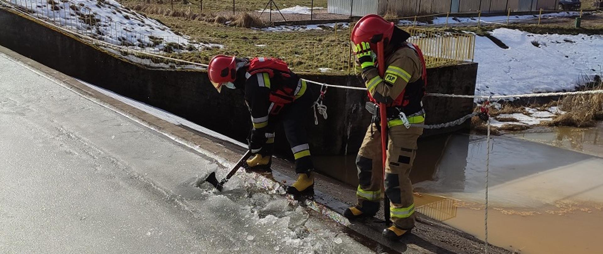 Na zdjęciu widać dwóch ratowników, którzy zabezpieczeni w kamizelki ratownicze, hełmy oraz linki skuwają za pomocą bosaka oraz topora strażackiego lód na zaporze zalewu w Suchedniowie. 