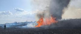 Pożary traw na nieużytkach rolnych w powiecie kazimierskim