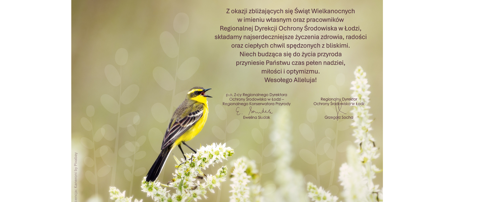 Życzenia z okazji Świąt Wielkanocnych od Dyrekcji oraz pracowników Regionalnej Dyrekcji Ochrony Środowiska w Łodzi