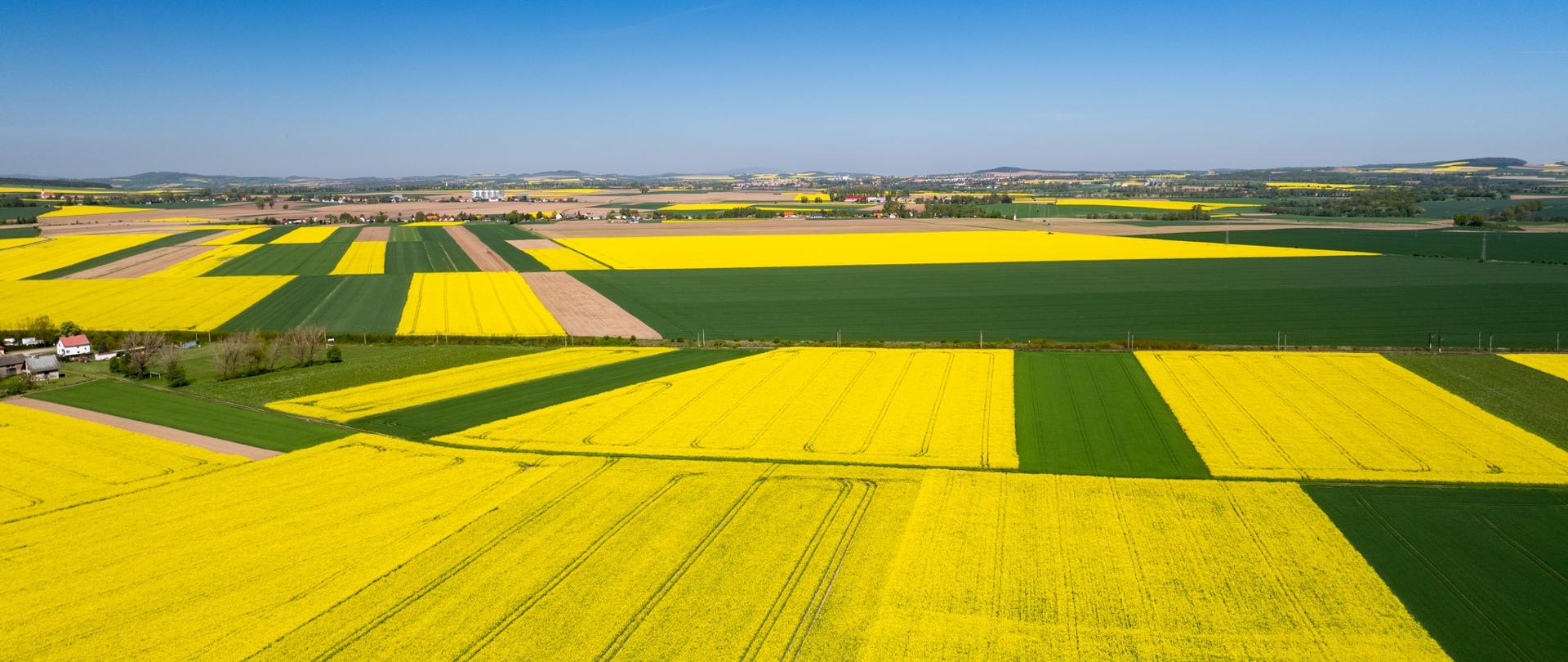 Wojewoda Dolnośląska Anna Żabska apeluje do samorządowców o powołanie stałych komisji ds. szacowania szkód w rolnictwie. 