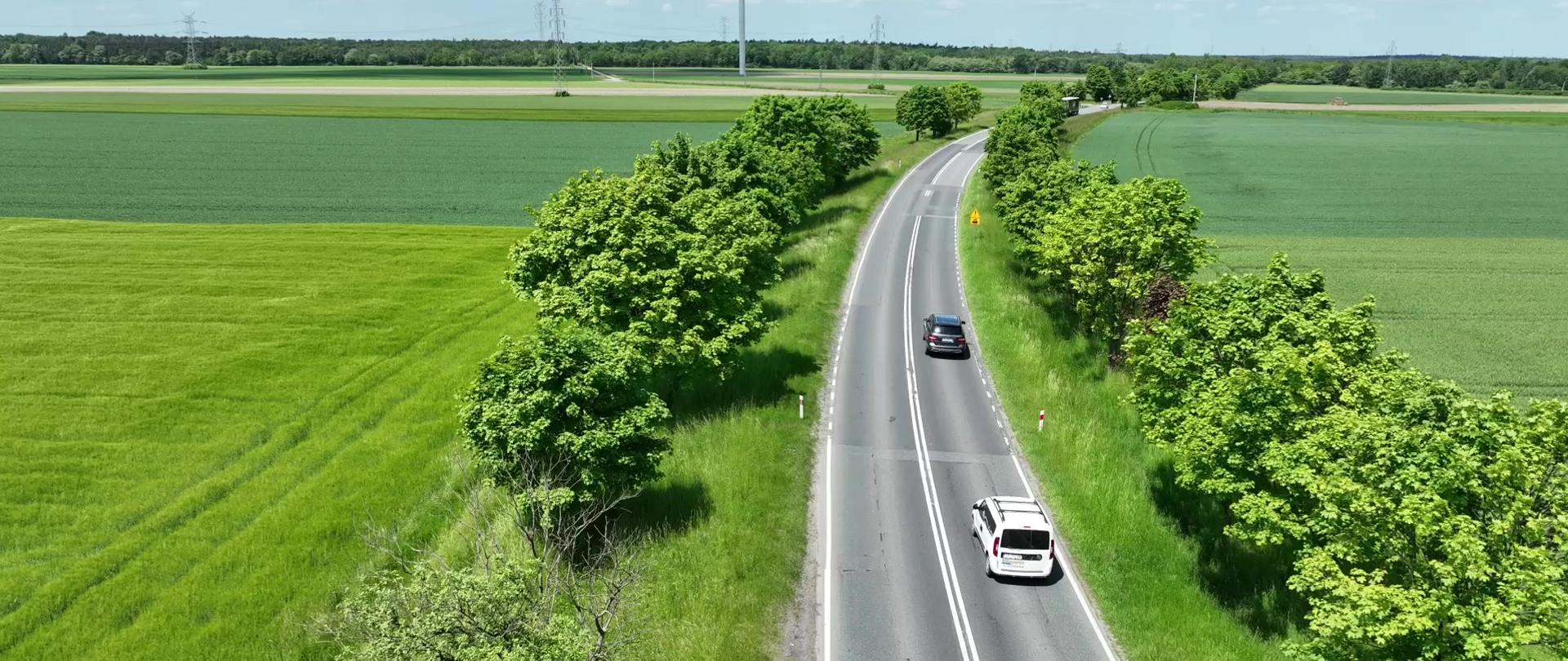 Droga krajowa nr 45 biegnąca między zielonymi polami. Wzdłuż drogi, po obu stronach rosną drzewa i krzewy. W tle las i linia wysokiego napięcia.