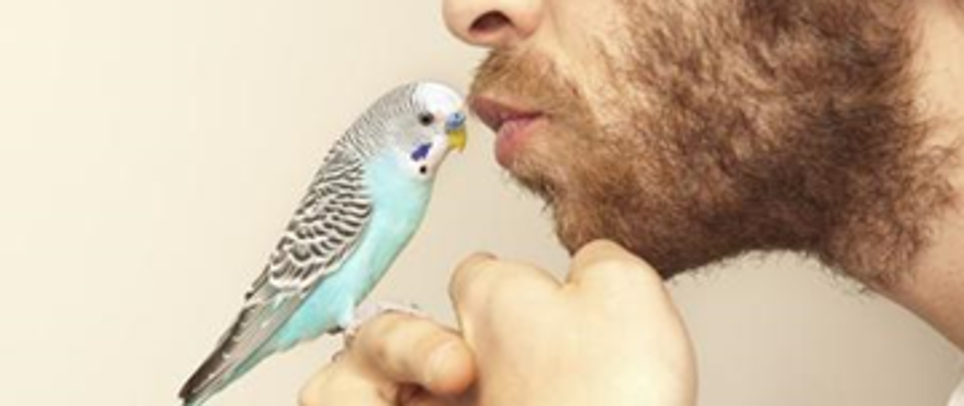 Zdjęcie przedstawia twarz młodego mężczyzny, który na dłoni zbliża do swoich ust błękitno-białą papużkę domową.