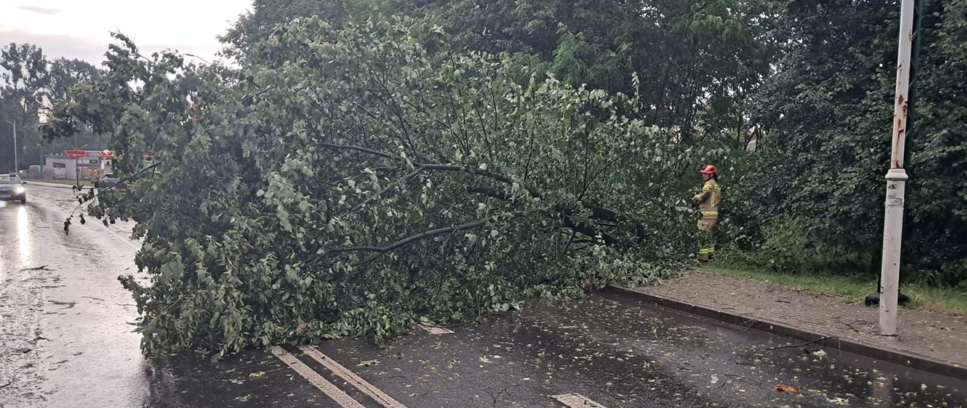 Zdjęcie przedstawia mokrą od deszczu ulicę miejską w pochmurny dzień, na którą przewróciło się duże, rozłożyste drzewo, całkowicie blokując jeden z pasów ruchu oraz chodnik. Na miejscu pracuje strażak w pełnym kombinezonie ochronnym i kasku, który za pomocą piły mechanicznej usuwa gałęzie tarasujące drogę, podczas gdy w tle na jezdni widać światła nadjeżdżającego samochodu.