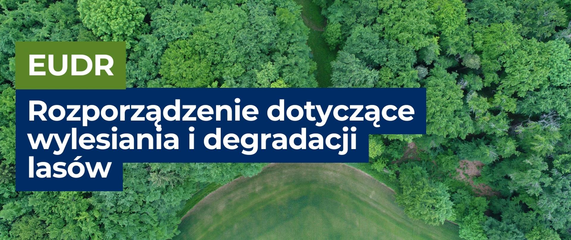 Na grafice widnieje zdjęcie lasu z góry. Na zdjęciu jest biały napis "EUDR" na zielonym tle oraz biały napis "Rozporządzenie dotyczące wylesiania i degradacji lasów" na granatowym tle.