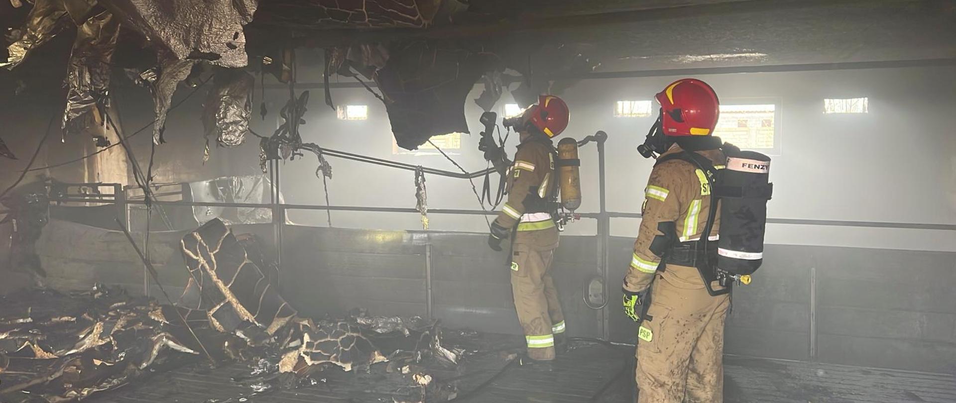  Na zdjęciu 2 strażaków w umundurowaniu specjalnym z założonymi aparatami powietrznymi na plecach. Jeden z nich trzyma w ręku kamerę termowizyjną i sprawdza temperaturę stropu budynku. Strażacy znajdują się w częściowo spalonym pomieszczeniu budynku inwentarskiego.