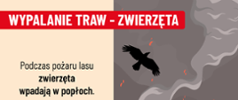 Kampania Stop Pożarom Traw 10