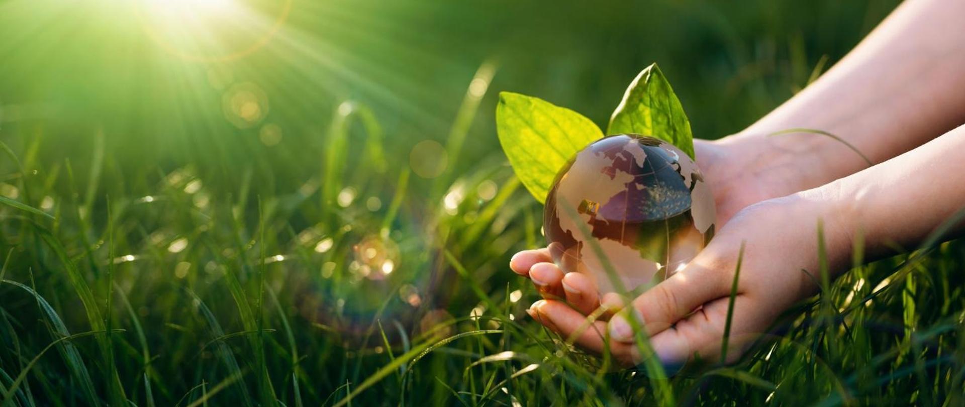 Wystartował konkurs na przeciwdziałanie dezinformacji klimatycznej i środowiskowej