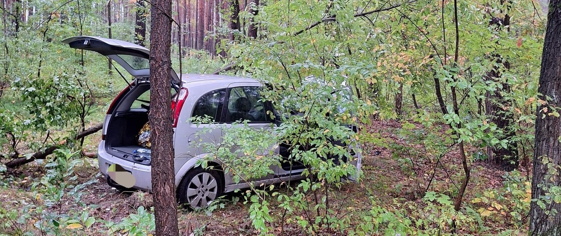 Samochód w lesie, otwarty bagażnik