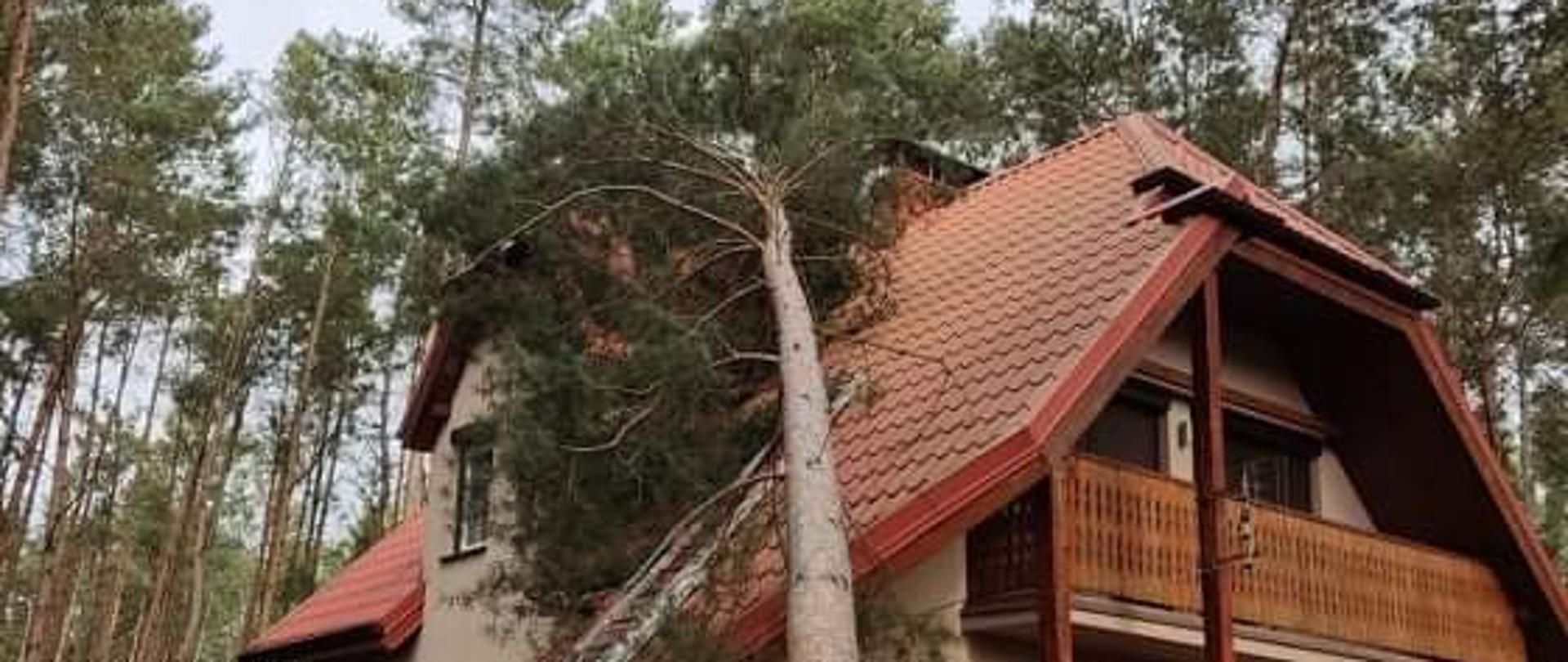 Zdjęcie przedstawia powalone drzewo na budynek letniskowy oraz strażaków podczas działań ratowniczo-gaśniczych