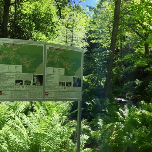 Polska pomoc dla Autonomicznej Republiki Adżarii w Gruzji