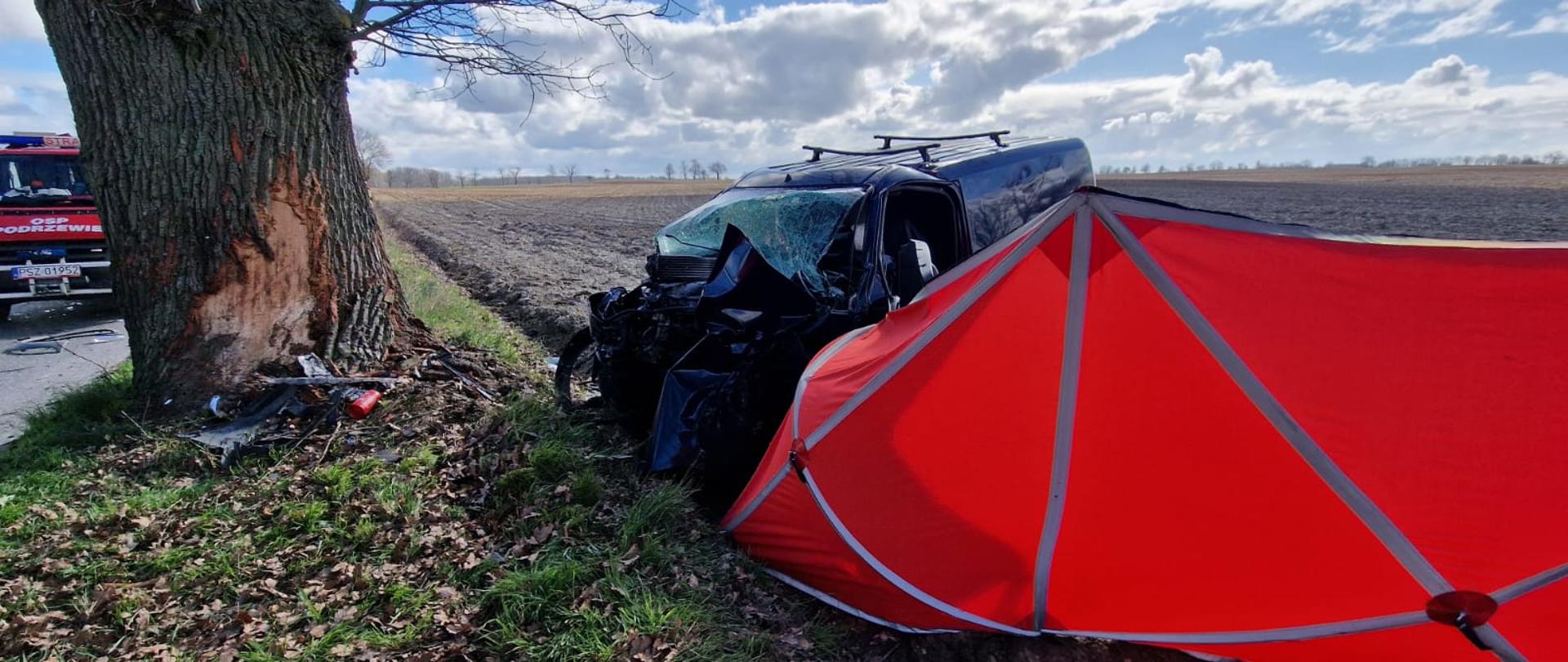 Po lewej widać drzewo w które uderzył samochód, w środku uszkodzony pojazd po lewej czerwony parawan