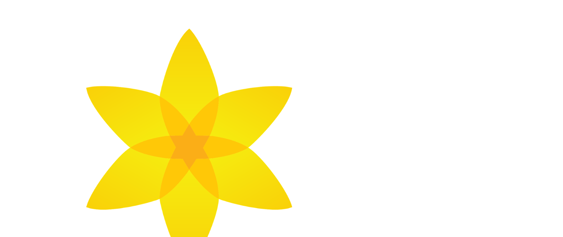 Ambasada RP w Buenos Aires wraz z Muzeum Historii Żydów Polskich POLIN zapraszają do upamiętnienia uczestników powstania i przyłączenia się do akcji społeczno-edukacyjnej poprzez ręczne wykonanie własnego żółtego żonkila. 