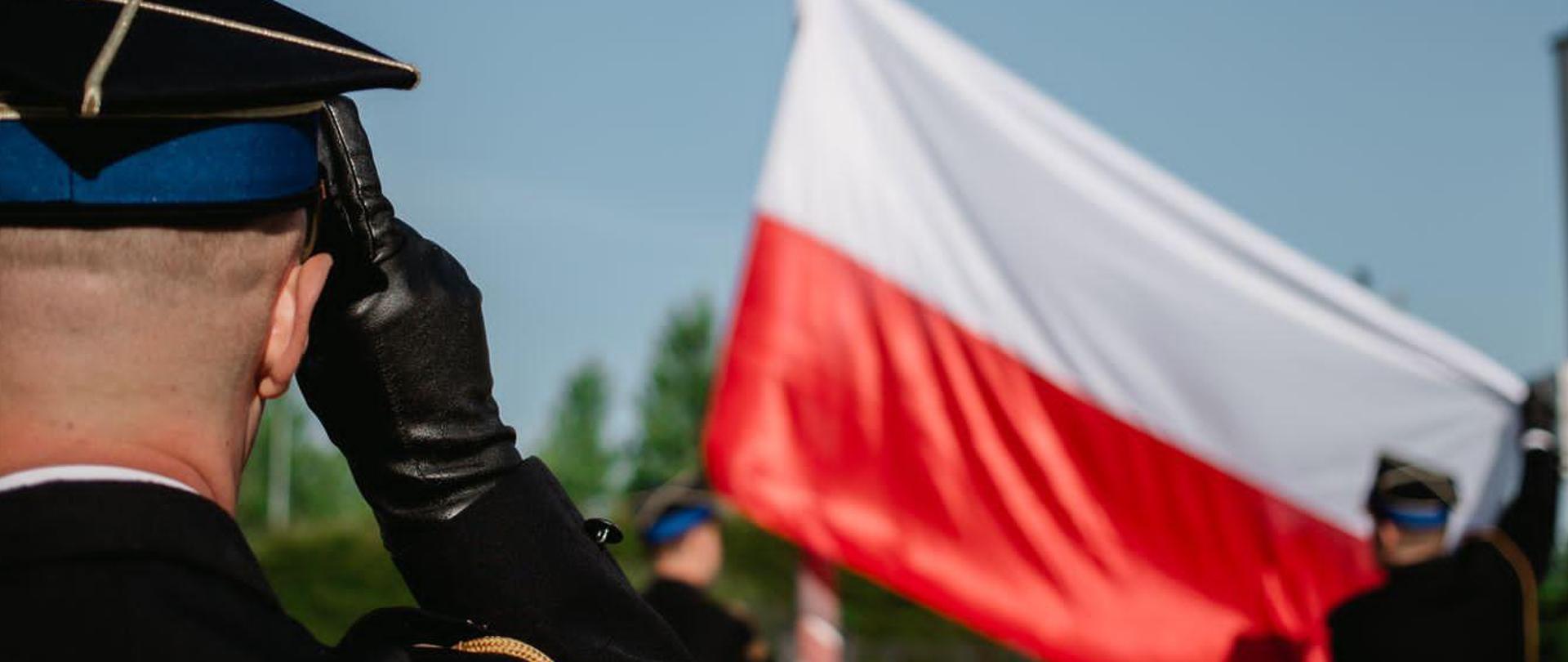 Flaga podnoszona na maszt.