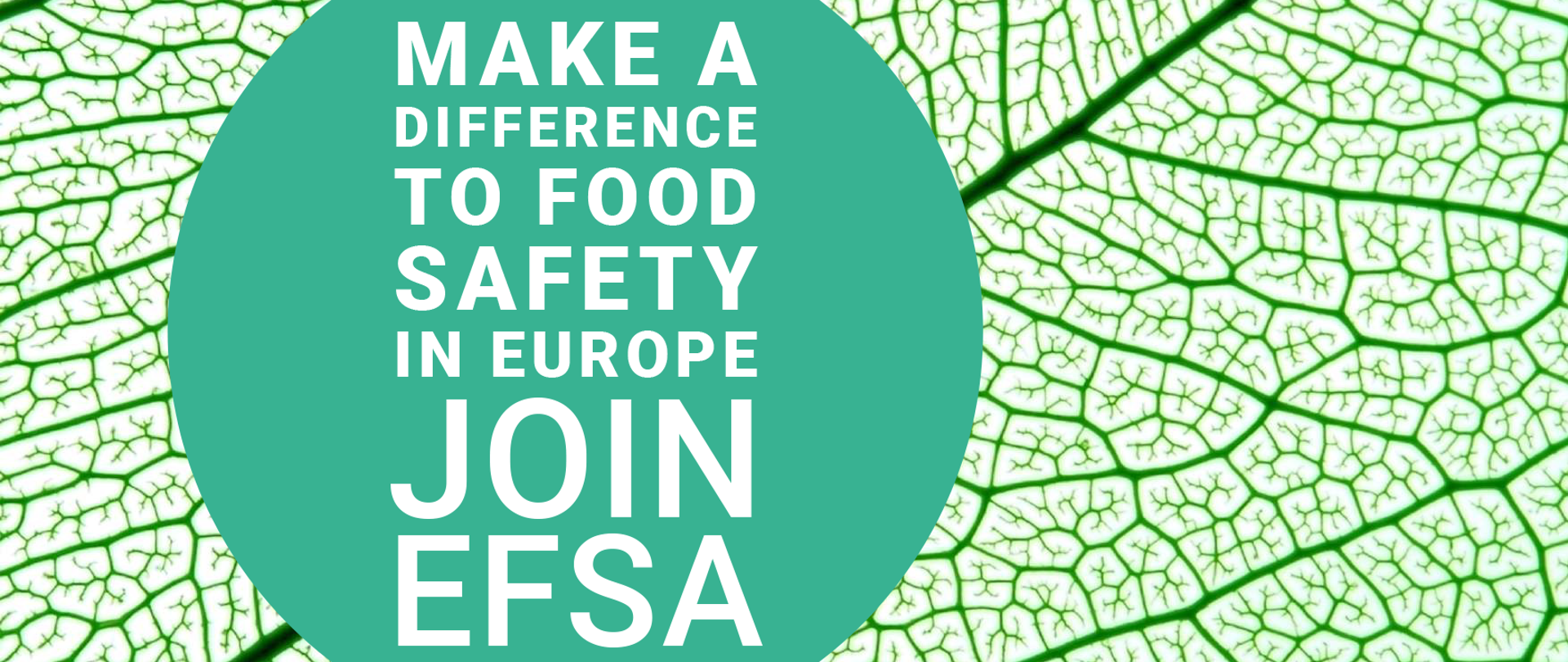 Plakat informacyjny - ogłoszenie w języku angielskim o poszukiwaniu ekspertów do EFSA