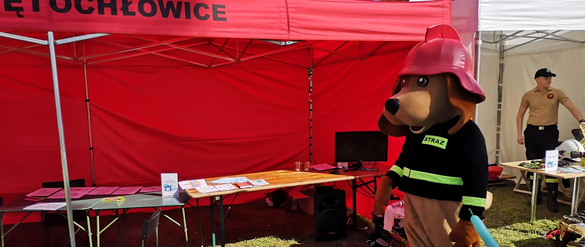 Prelekcje podczas X pikniku organizacji pozarządowych