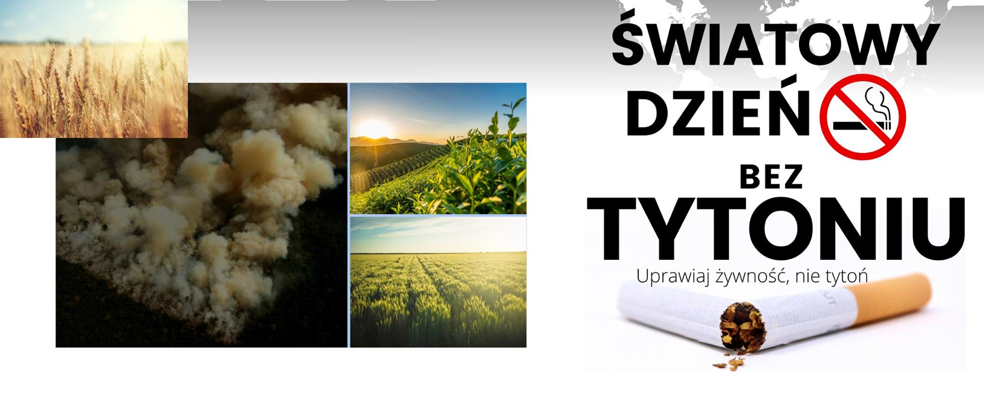 Światowy_Dzień_Bez_Tytoniu_tlo3_2023