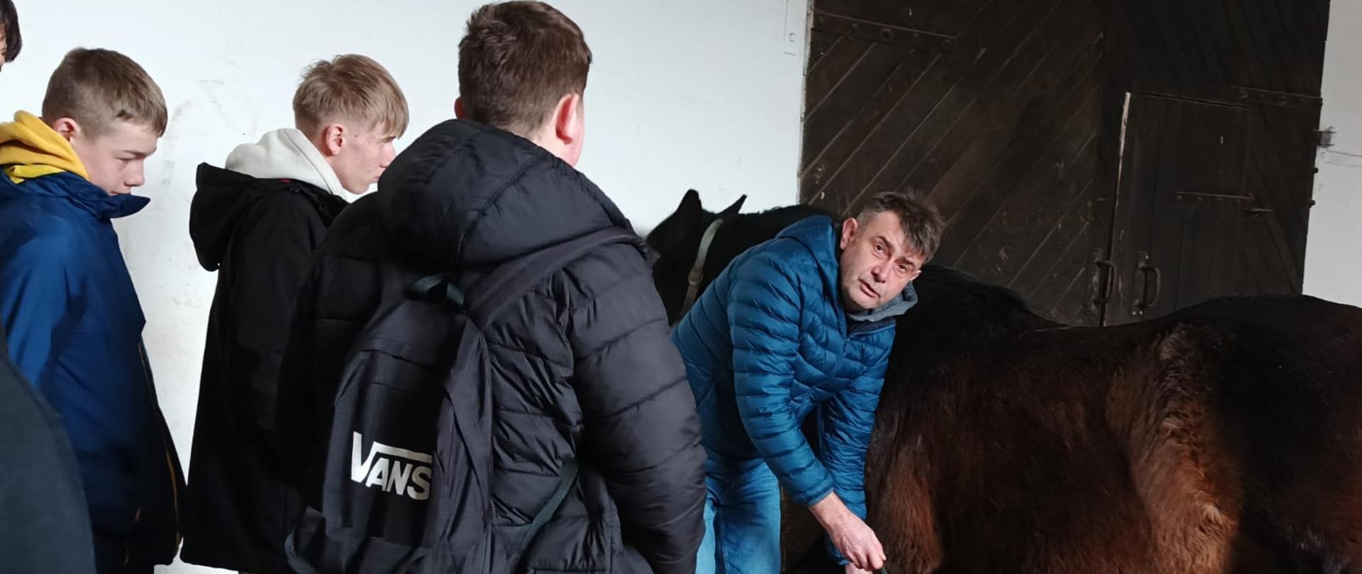 Sprawdzane kopyto konia.