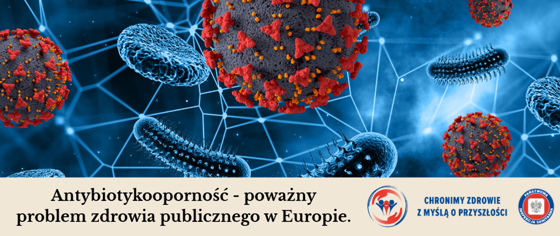 wizualizacja bakterii