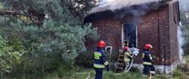Zdjęcie przedstawia strażaków OSP podczas gaszenia pożaru opuszczonego budynku mieszkalnego. Jeden ze strażaków trzyma linię gaśniczą stojąc przy oknie i drabinie, a dwóch idzie przy budynku. Spod dachu wydobywa się gęsty dym. Dookoła widać drzewa.