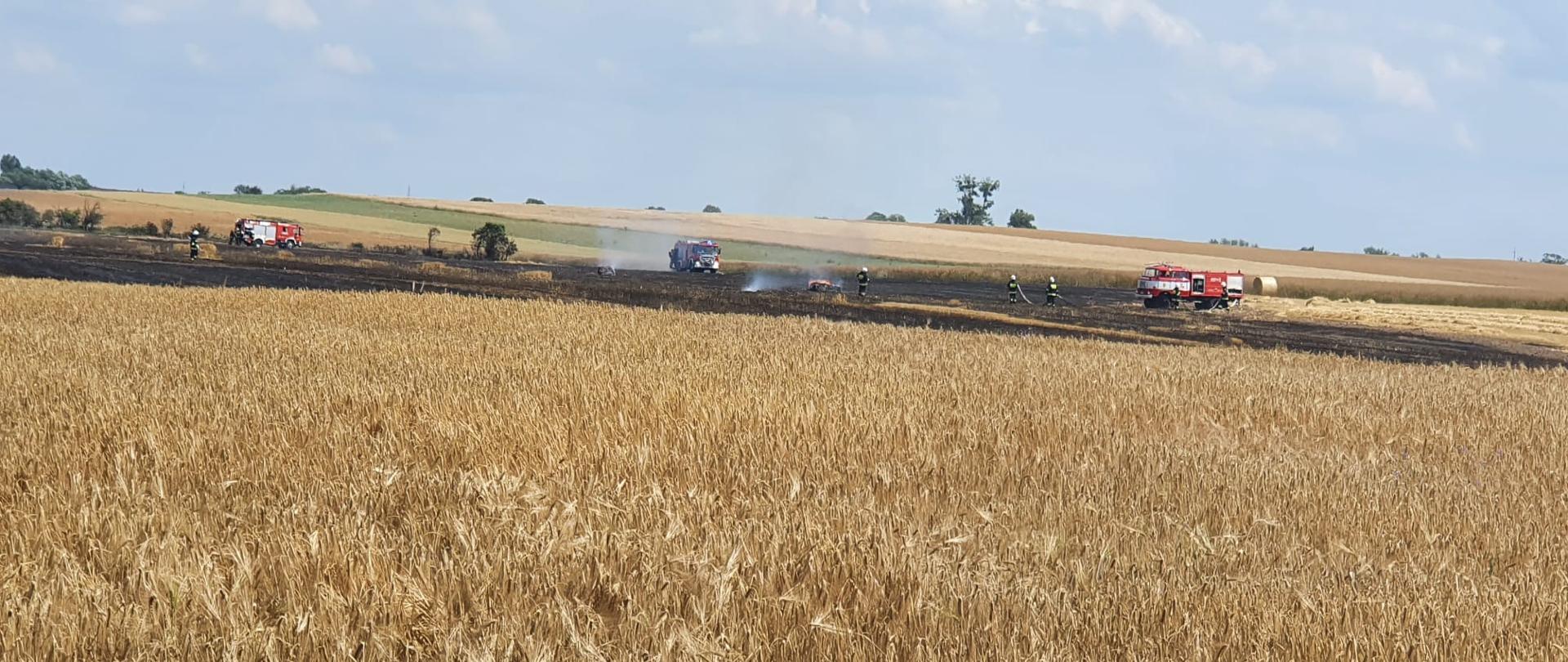 Zdjęcie przedstawia akcję gaszenia pożaru zboża.
