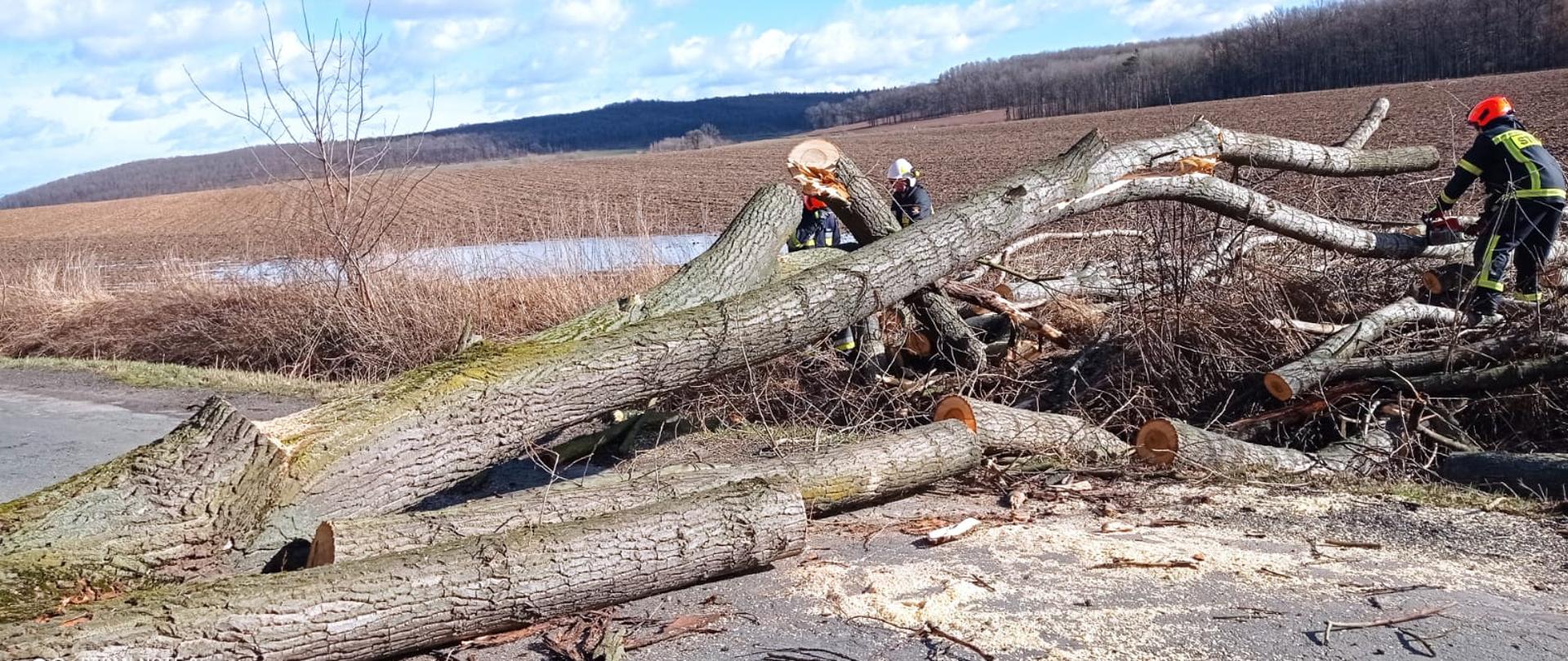 Obraz przedstawia strażaków tnących piłami łańcuchowymi powalone na jezdnię drzewo. Pora dzienna, w tle pole i las.