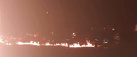 Na zdjęciu widoczny pożar traw w porze nocnej oraz w oddali samochody pożarnicze i strażacy gaszący pożar. 