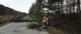 Usuwanie skutków silnych wiatrów- powalone drzewo na drodze