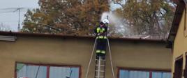 Szkolenie podstawowe strażaków ratowników OSP 