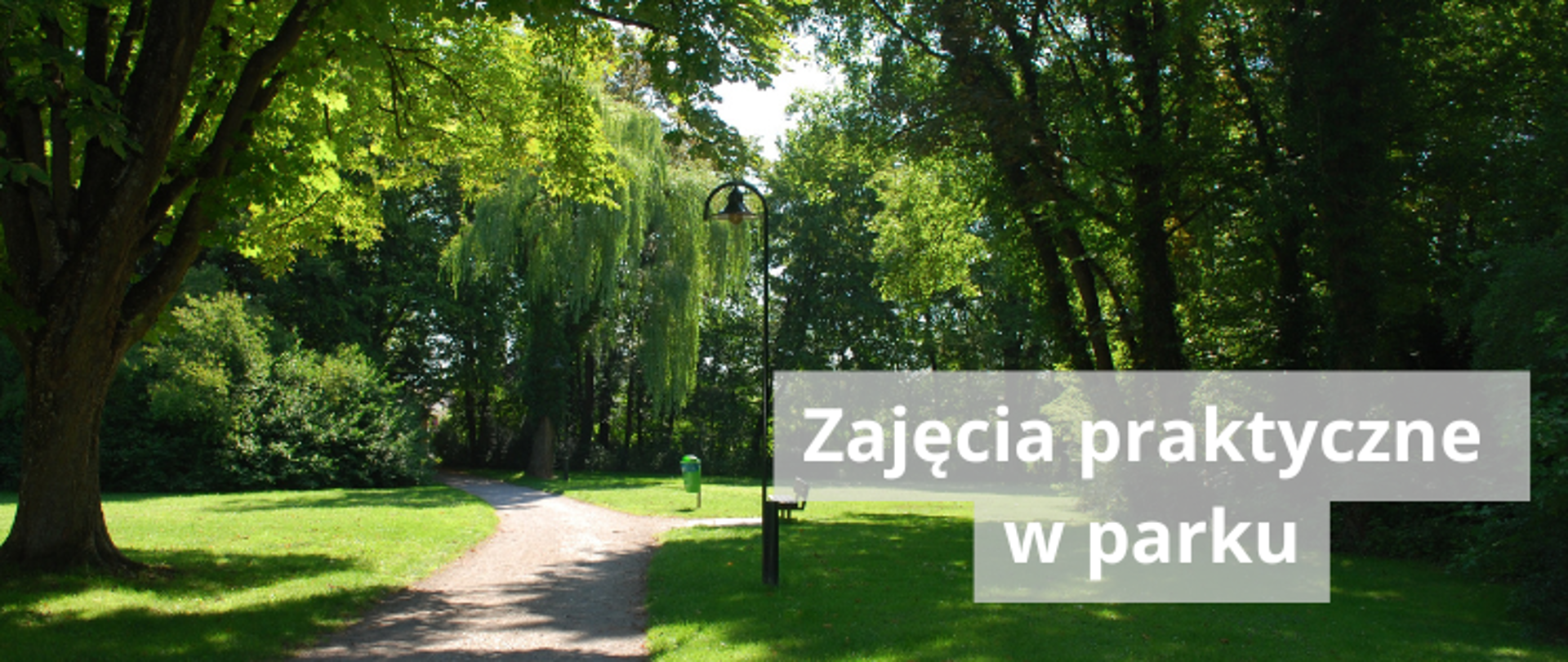 grafika park