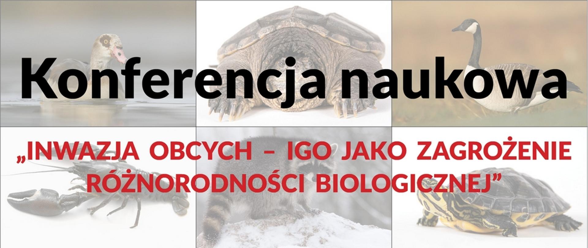 Napis Konferencja Naukowa - Inwazja obcych – IGO jako zagrożenie różnorodności biologicznej”. w tle rozmazane zwierzęta