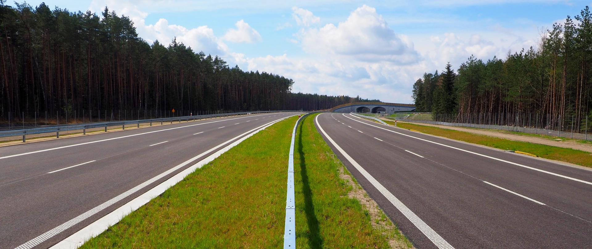 Widok z poziomu jezdni na drogę ekspresową S19. Dwie jezdnie rozdzielone pasem zieleni i barierami. Po obu stronach drogi widać drzewa. 