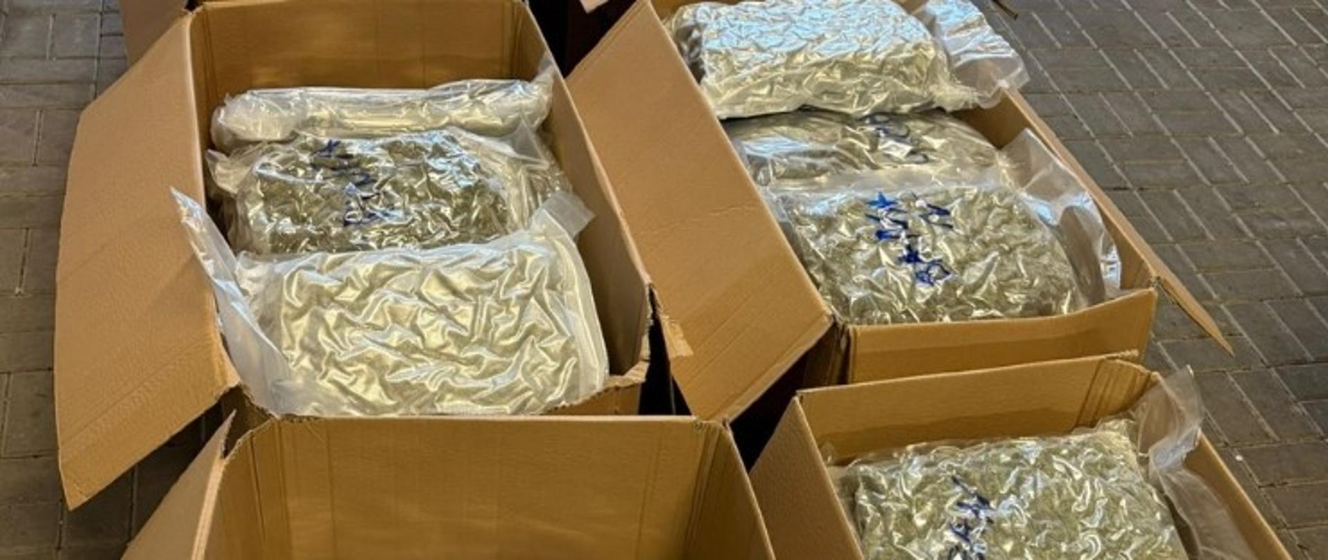 Foliowe worki z narkotykami w kartonach.